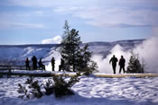 Fountain Paint Pot area - Yellowstone National Park