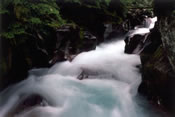 Avalanche Gorge - Glacier National Park