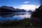 Going to the Sun Road  - Glacier National Park